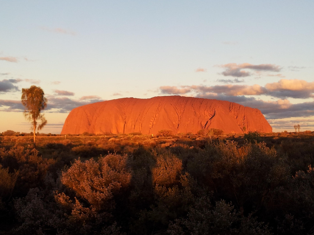 Wayoutback Australian Safaris景点图片