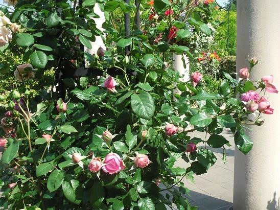 Hisaya-odori Garden Flarie-Osu必去景点