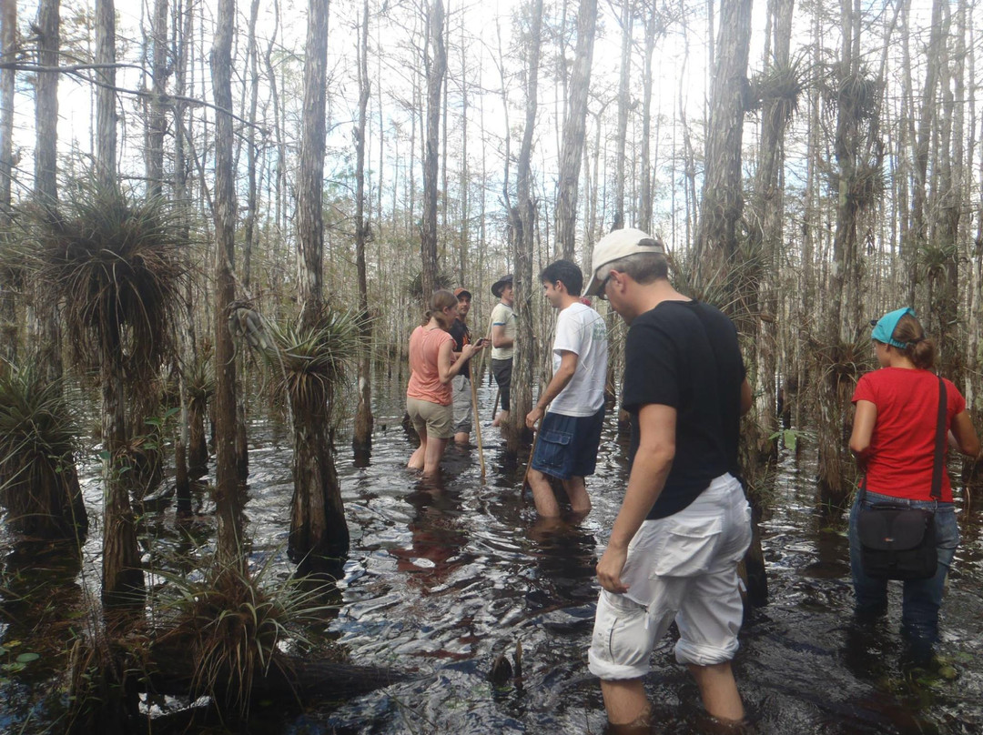 Tours in the Glades-佛罗里达城必去景点