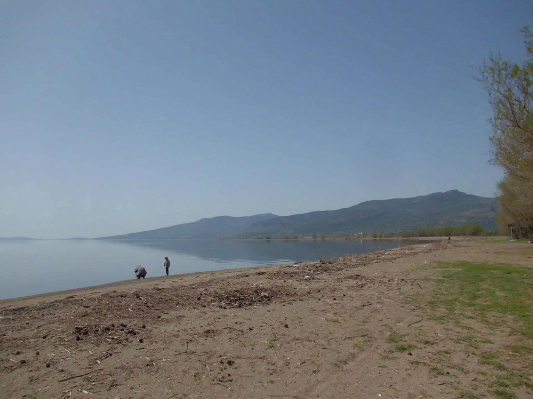 Skala Kallonis Beach-Skala Kallonis必去景点