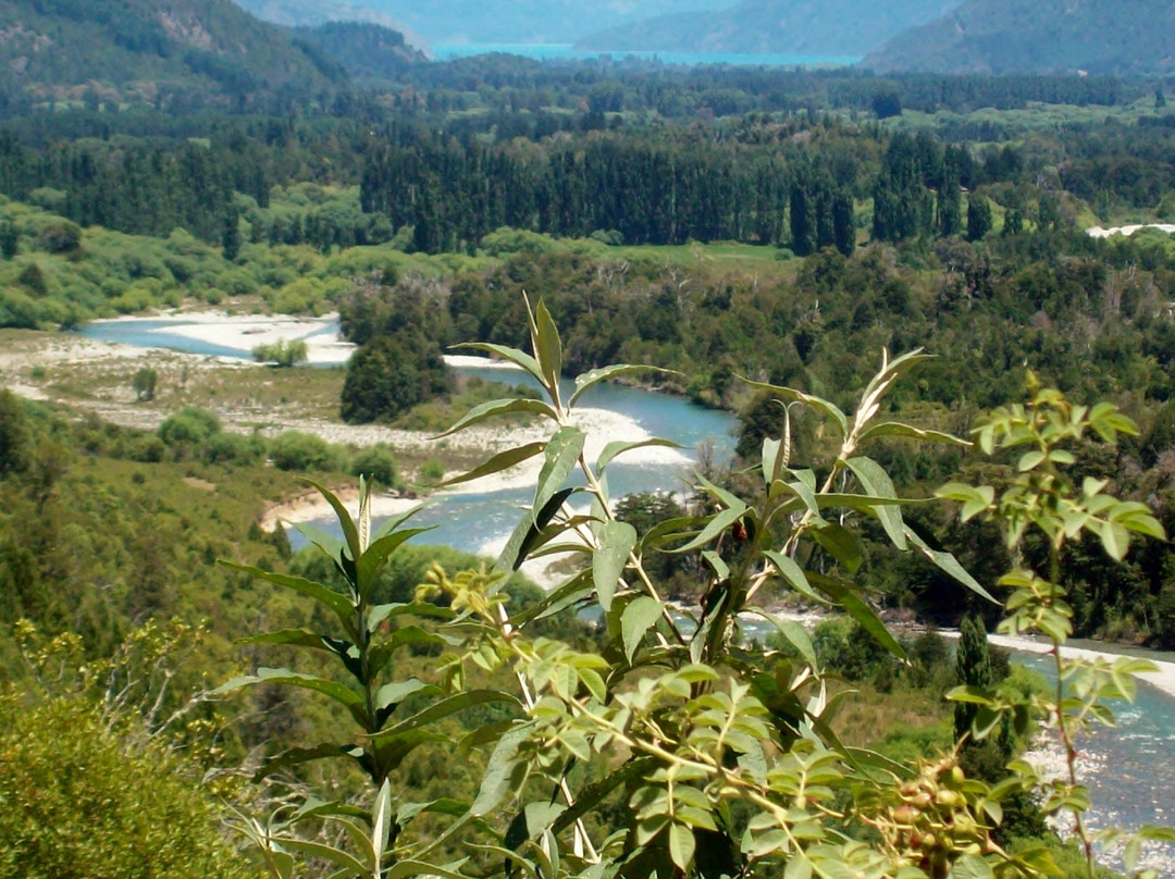 El Bolson酒店住宿-Buena Vida Social Club