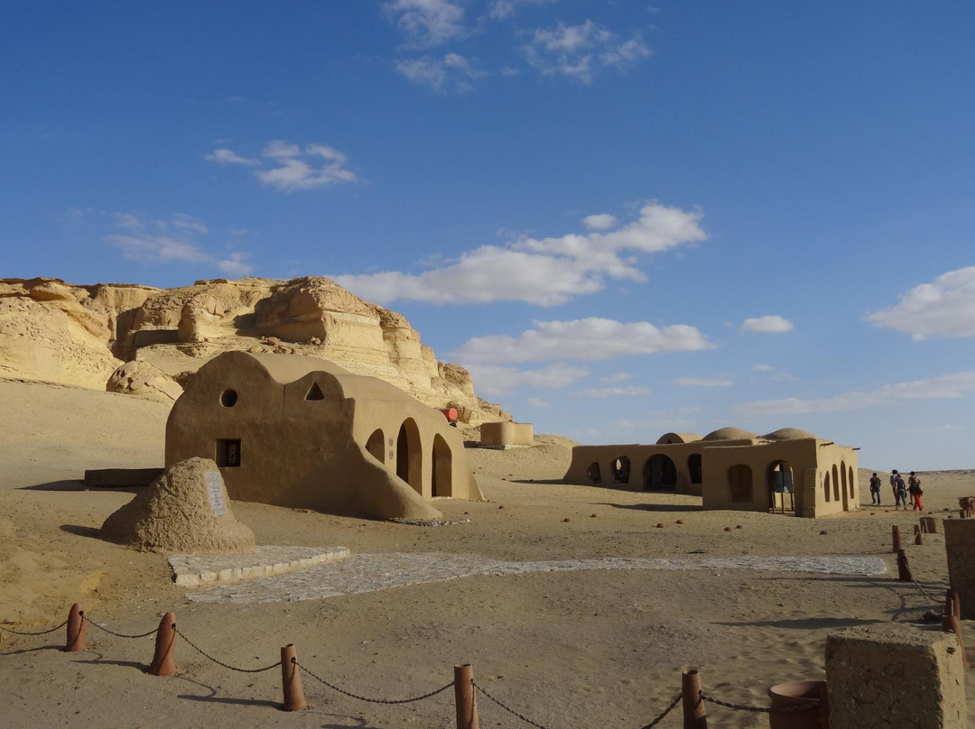 Fayoum Oasis-法尤姆必去景点