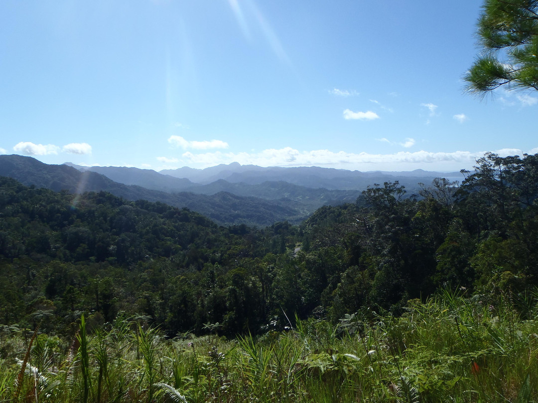 Waisali Rainforest Reserve-萨武萨武必去景点
