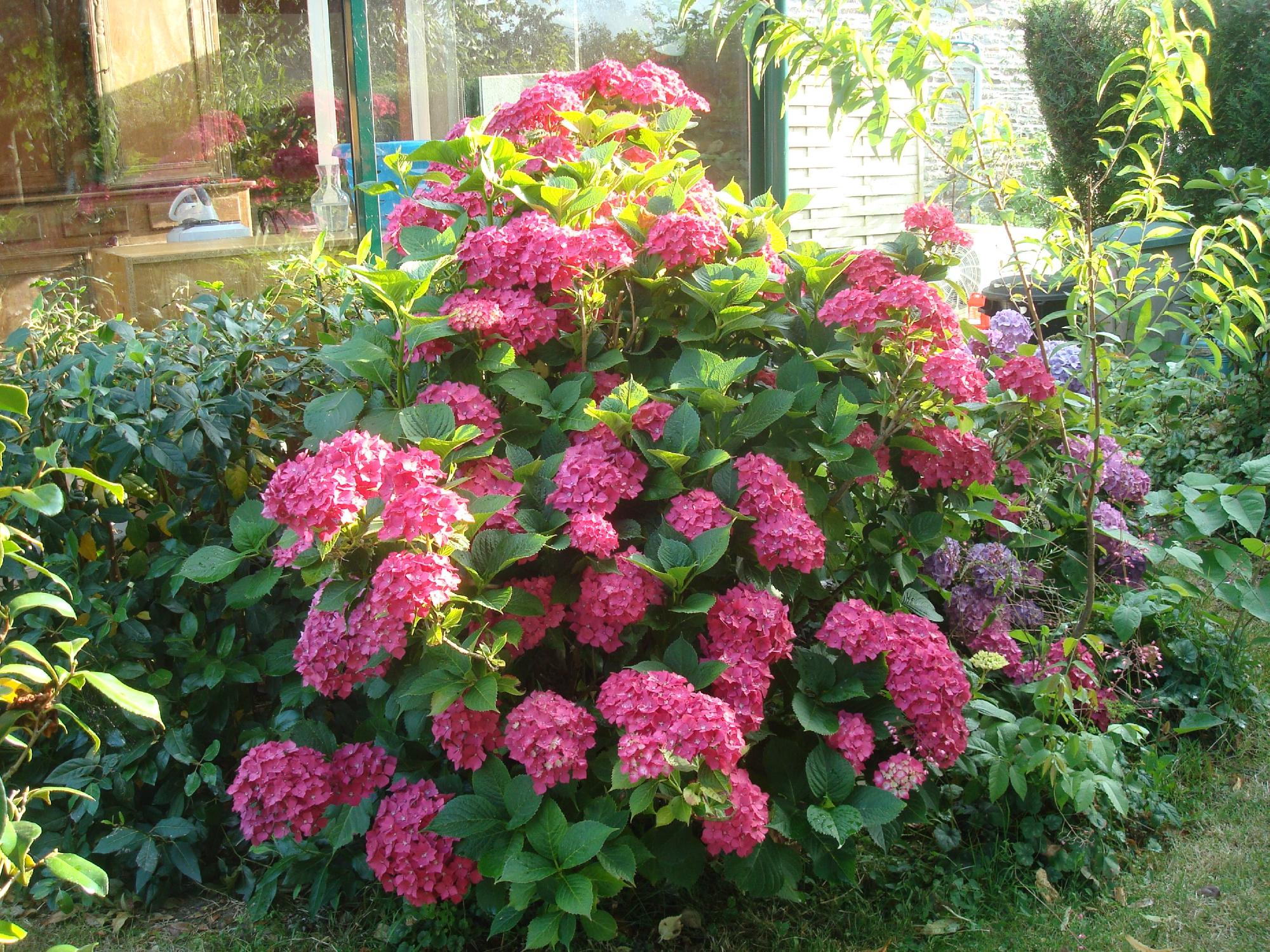 Au Jardin Fleuri-客卧