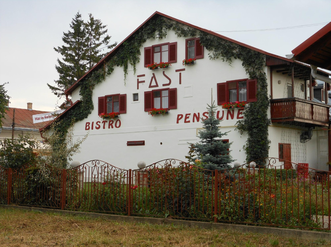 Pensiune Turistica Fast主图