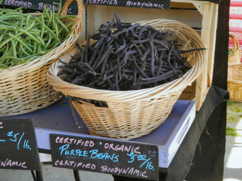 Carrboro Farmers Market-Carrboro必去景点