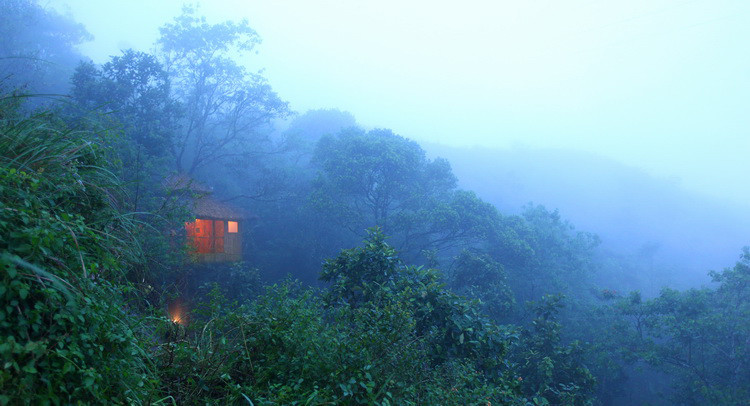 Vanya Tree House