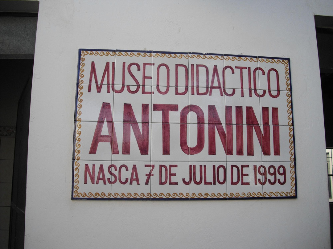 Didactic Museum Antonini (Museo Antonini)景点图片