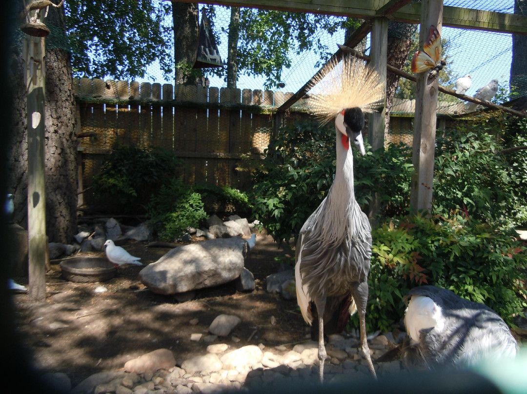 Hunt Club Farm-弗吉尼亚海滩必去景点
