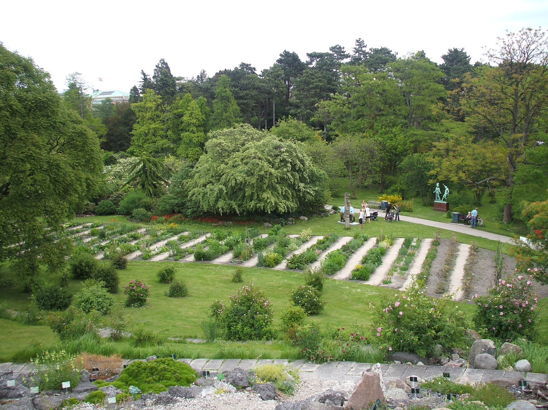 Botanical Garden-哥本哈根必去景点