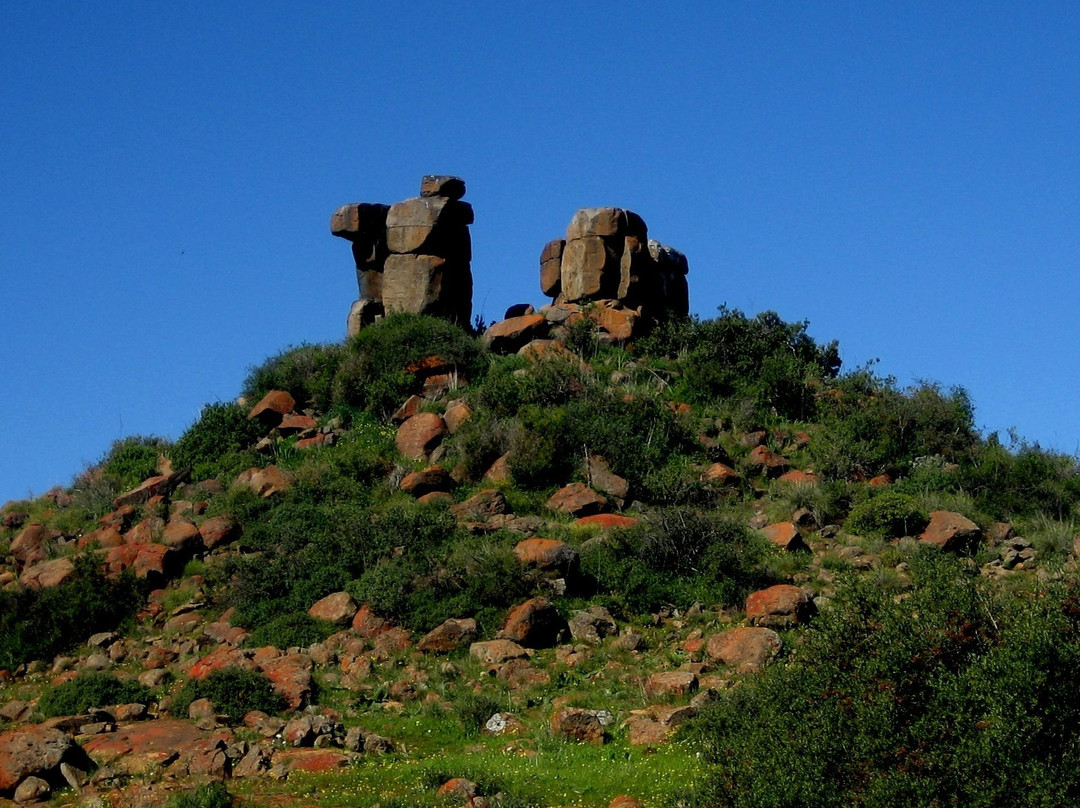 Hantam National Botanical Garden-Nieuwoudtville必去景点