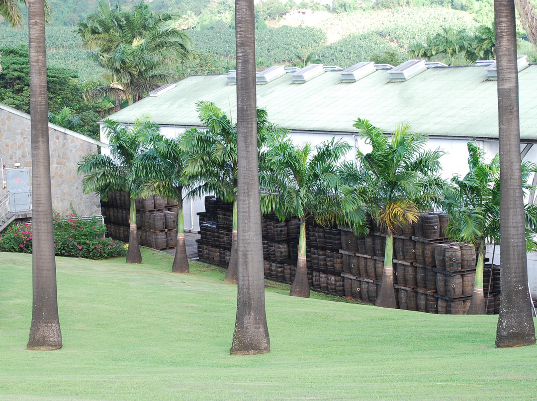 Habitation Clement-Le Francois必去景点