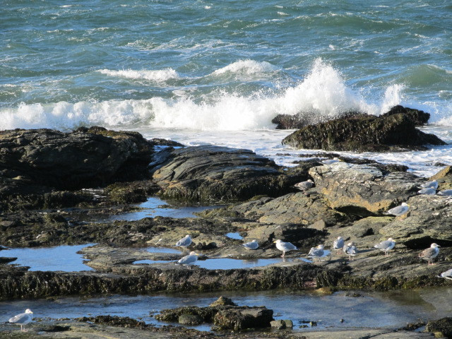 滨海大道-纽波特必去景点