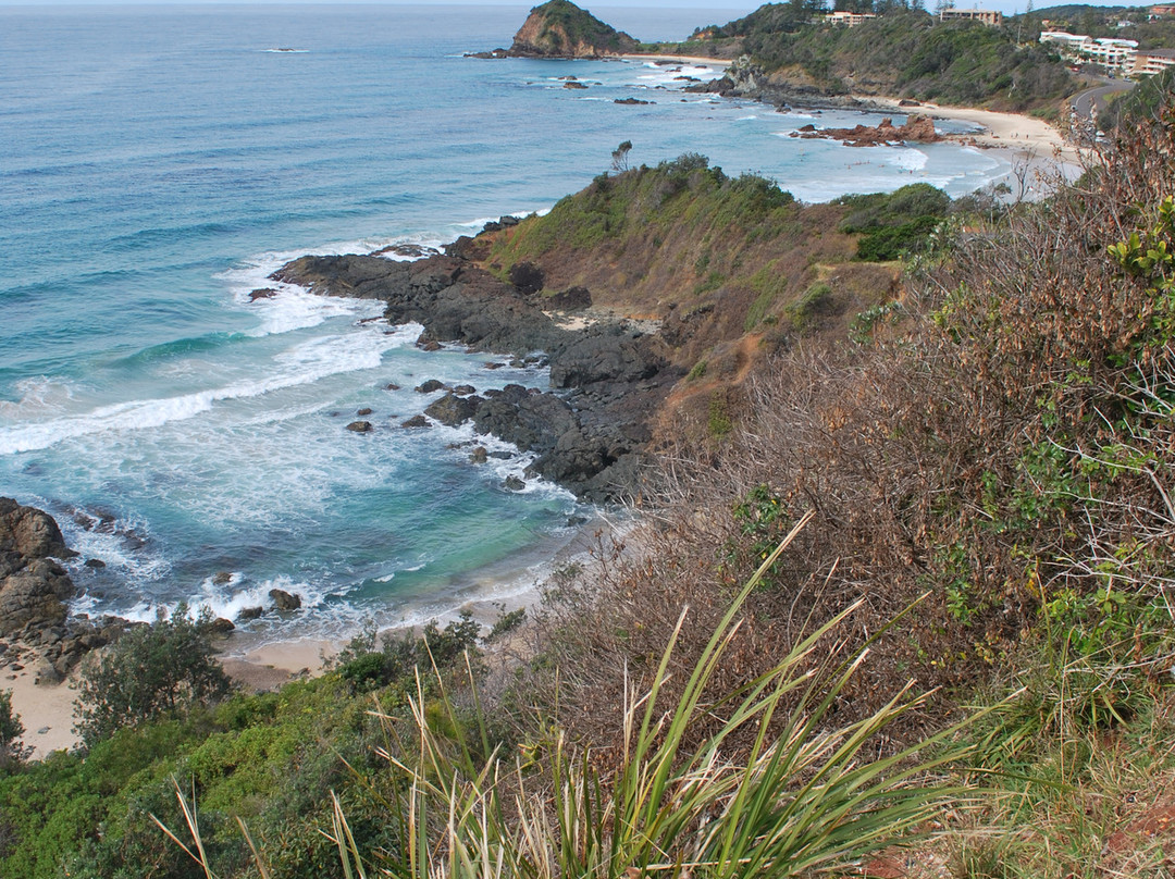 海边漫步-麦克夸利港必去景点