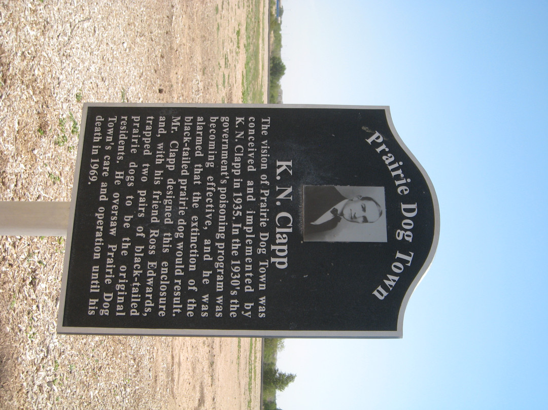 Prairie Dog Town-拉伯克县必去景点