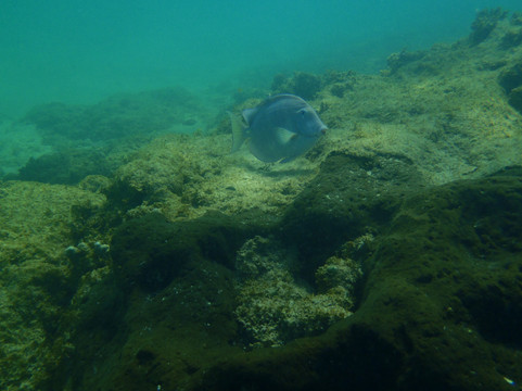 Aqua Adventure-圣胡安必去景点