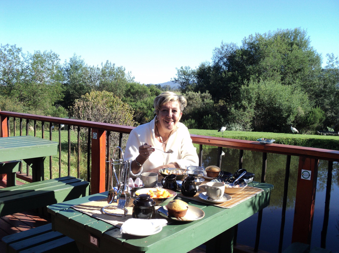 Tenikwa Wildlife Awareness Centre-The Crags必去景点