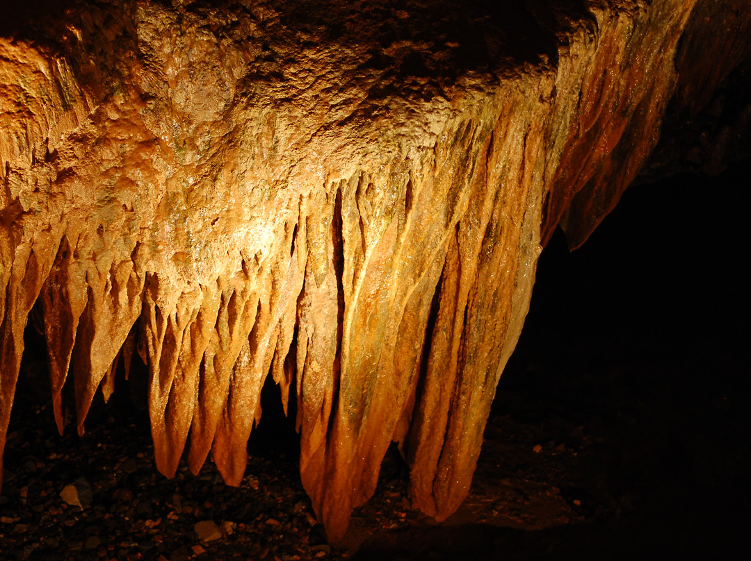 Tuckaleechee Caverns-汤森必去景点