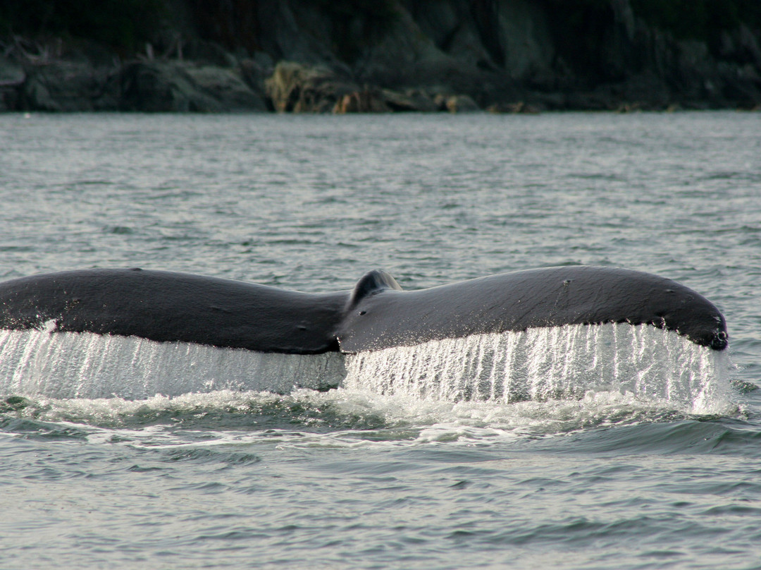 Gastineau Guiding-朱诺必去景点
