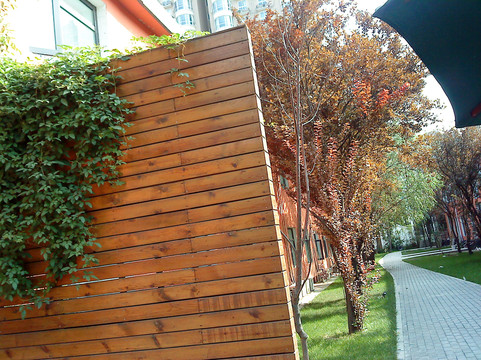 北京桔子酒店望京店主图