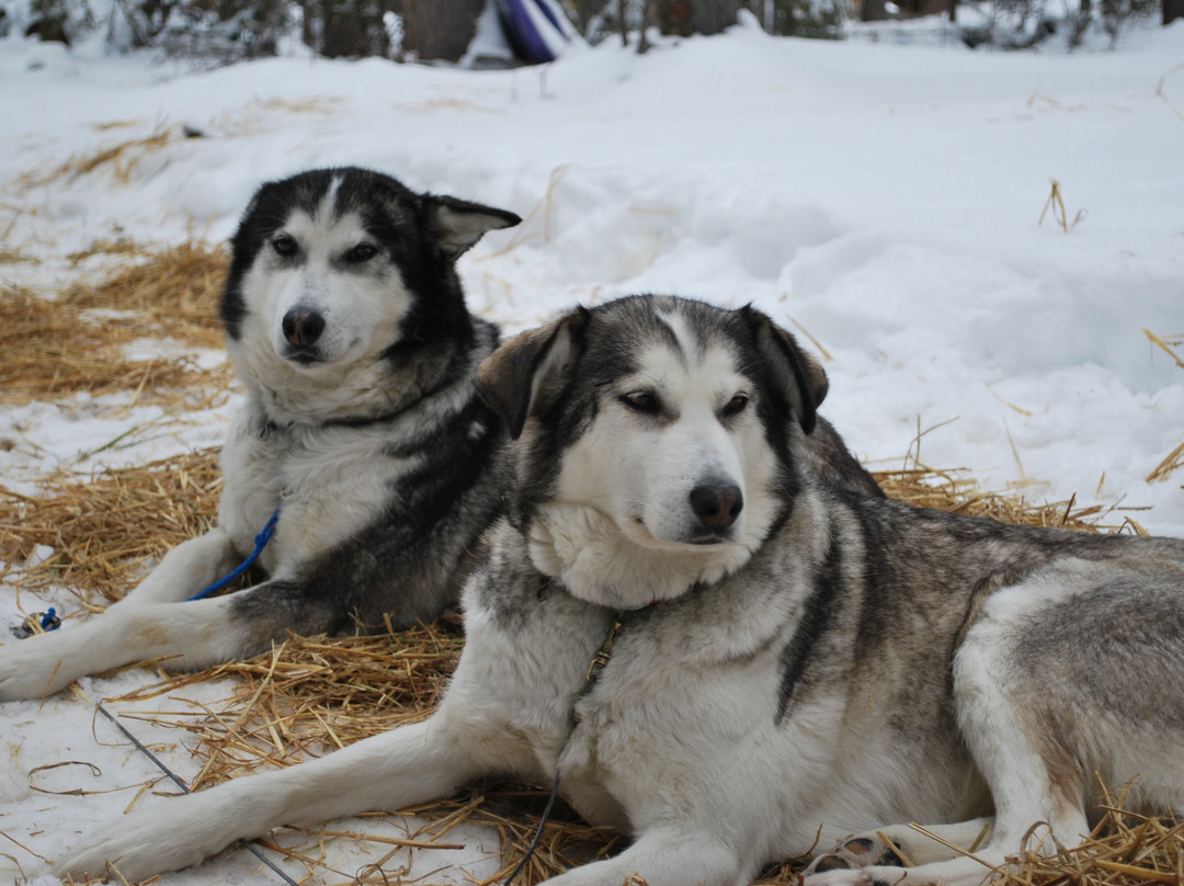 Muktuk Adventures-白马市必去景点