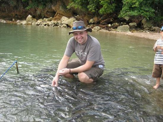 Aquascene Fish Feeding-达尔文市必去景点