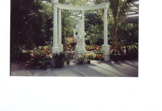 Magnolia Plantation & Gardens-查尔斯顿必去景点