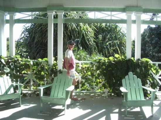 伊莉萨白女王二世植物园-大开曼岛必去景点