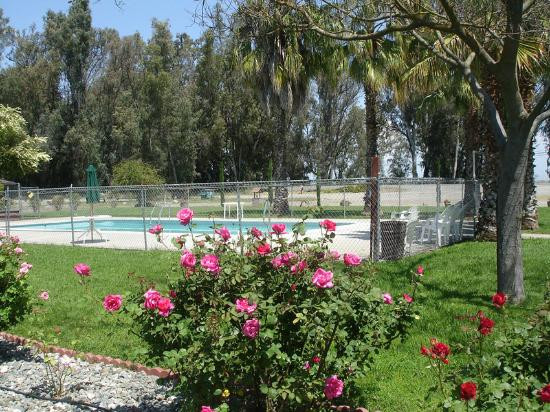 布鲁甘姆汽车旅馆主图