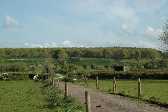 Ardsollus Farm主图