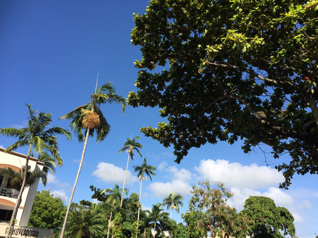 Whileaway Bookshop & Cafe
