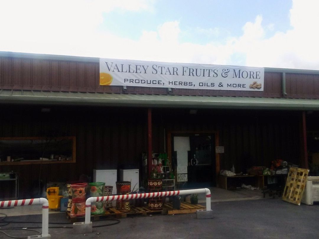 Olmito餐馆和美食-Valley Star Fruits & More