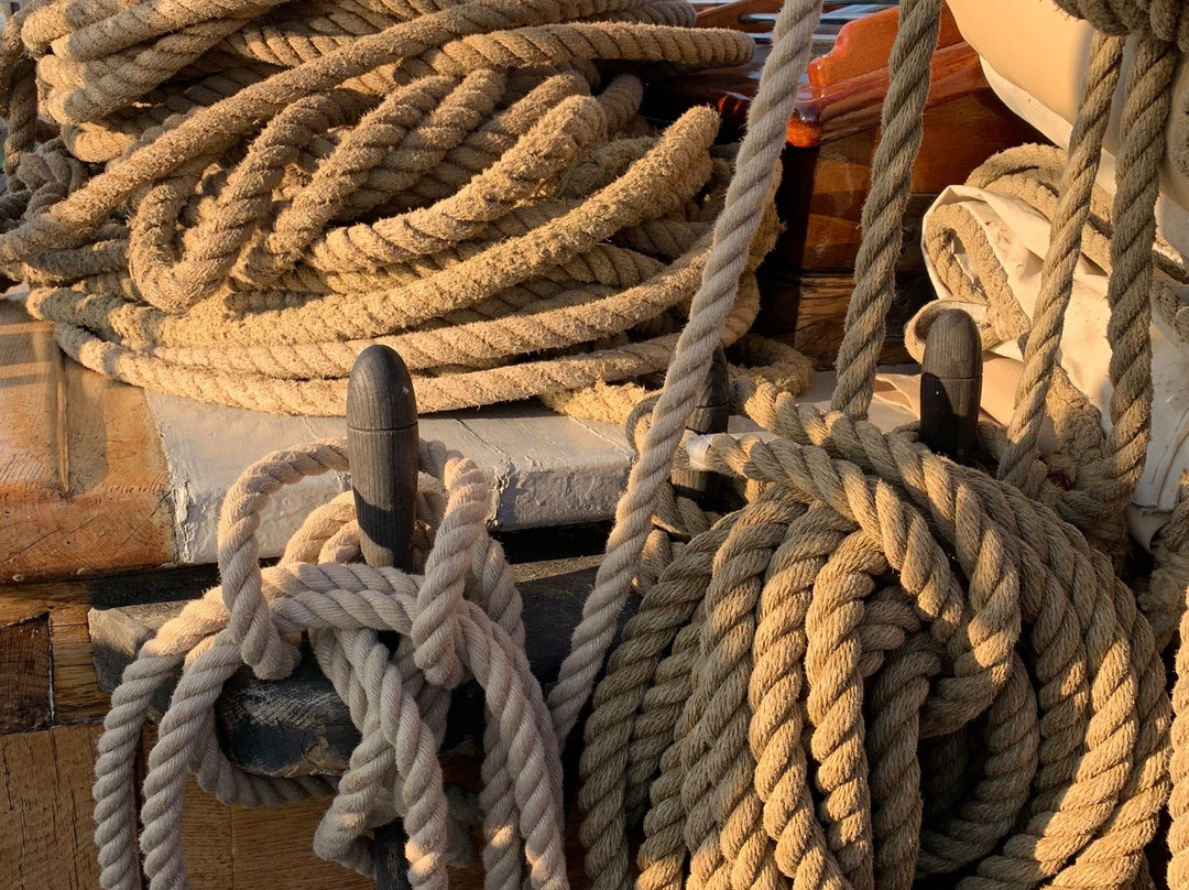 Yukon Tours-Franklin必去景点