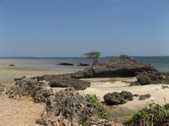 Kiwayu Island旅游攻略图片