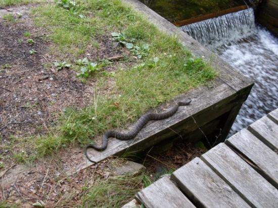 Paradox旅游攻略图片