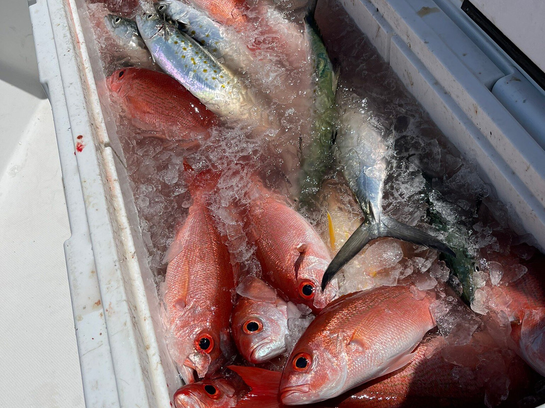 Intracoastal Experience - Destin Fishing Charter-德斯廷必去景点