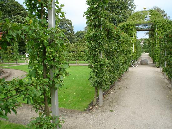 Kongens Have-哥本哈根必去景点