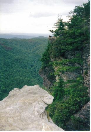 Linville Gorge-Linville Falls必去景点
