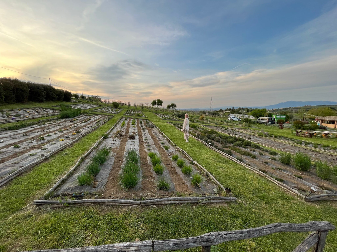 Country House Erba Regina主图