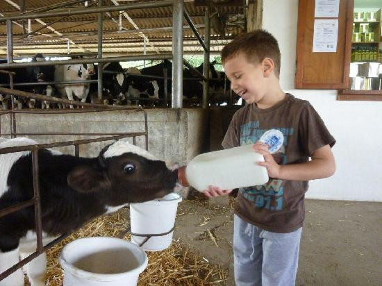 Kurlander Farm-Beit Hillel必去景点