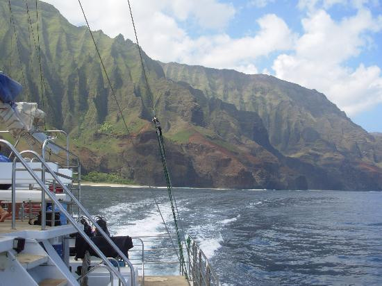 Blue Dolphin Charters-埃里埃利必去景点