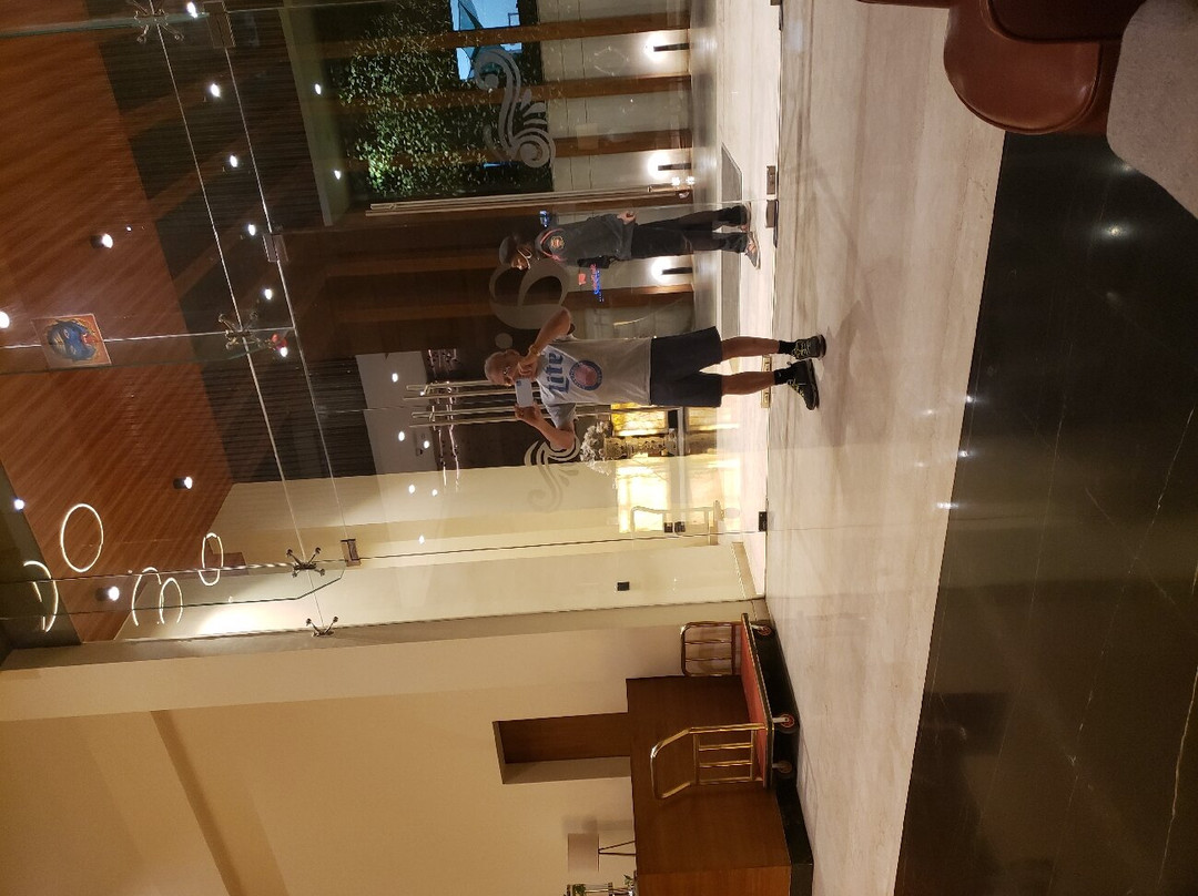 Hotel Avinash International