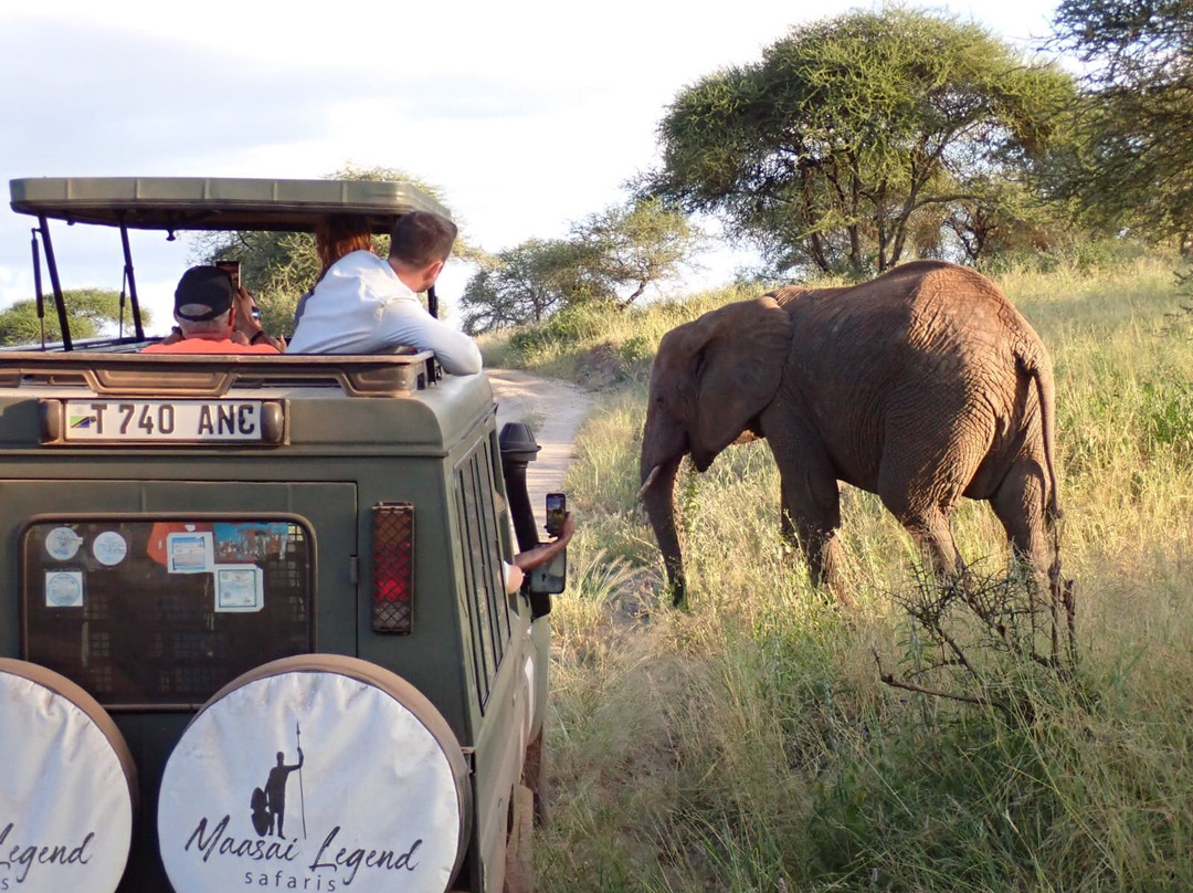 Maasai Legend Safaris景点图片