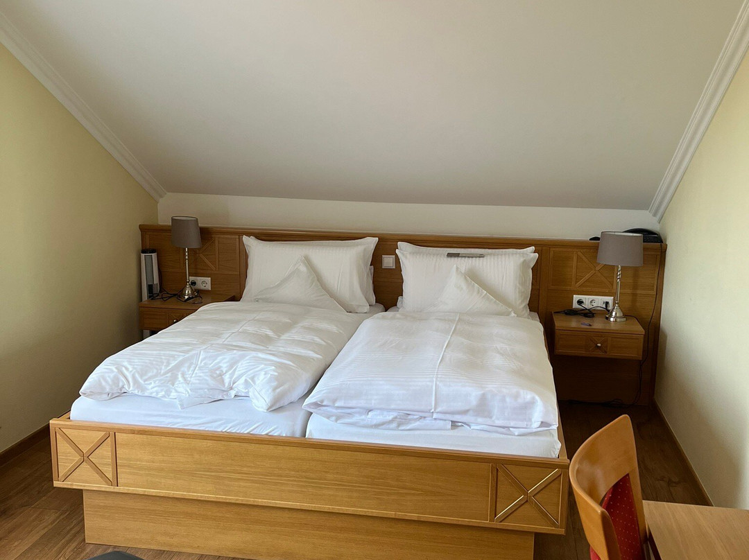 Landidyll Hotel Birkenhof主图