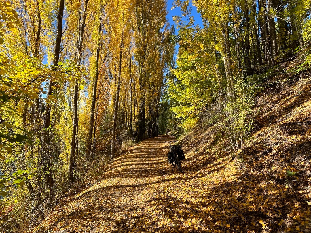 Roxburgh Gorge Trail-罗克斯堡必去景点