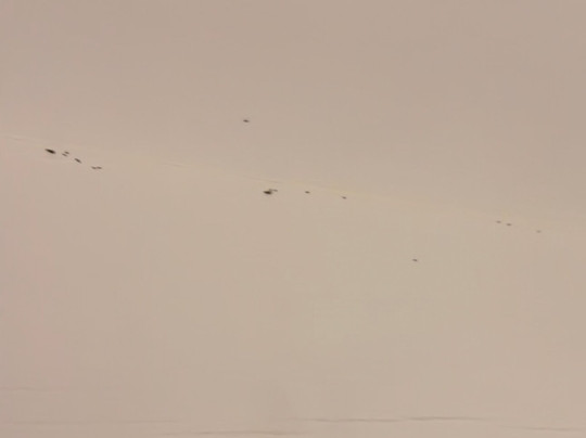 The Monkey Tree Hotel by AvantStay主图