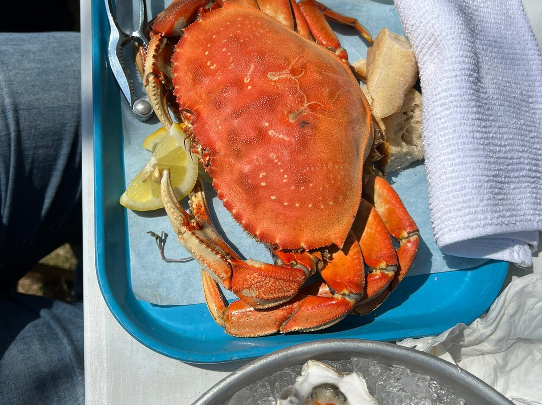 Buck Bay Shellfish Farm景点图片