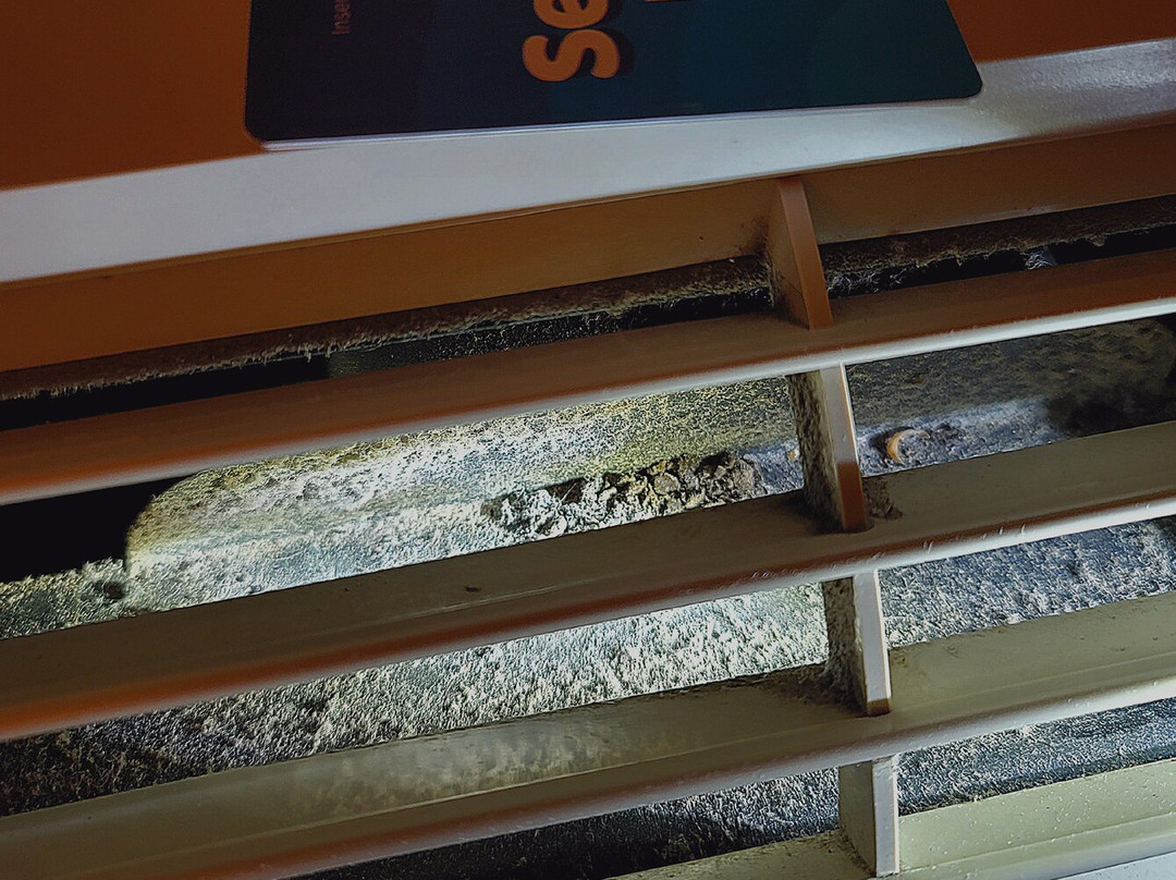 Days Inn by Wyndham St George主图