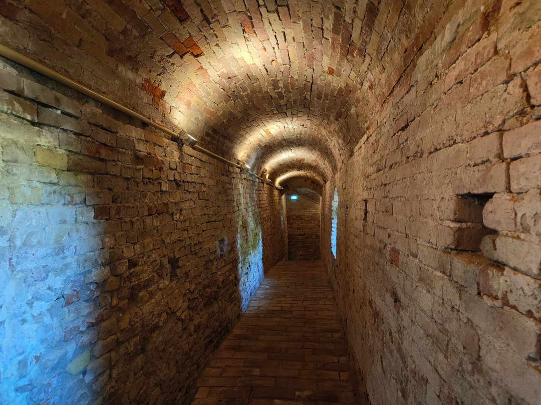 Rocca di Acquaviva Picena景点图片