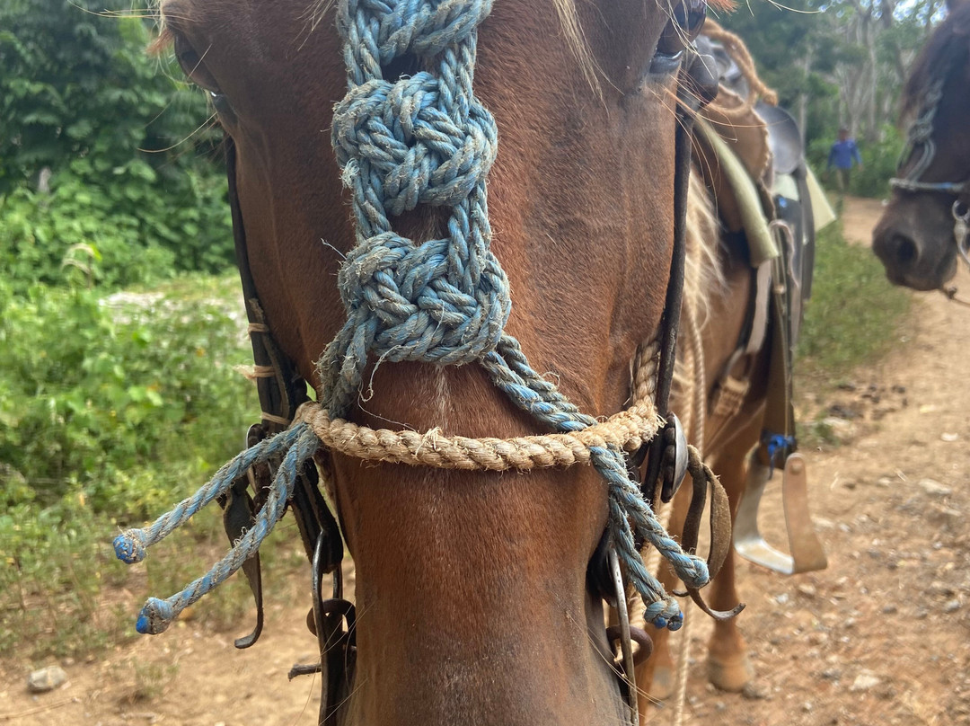 The Vinales Experience, Cuba-维纳勒斯必去景点